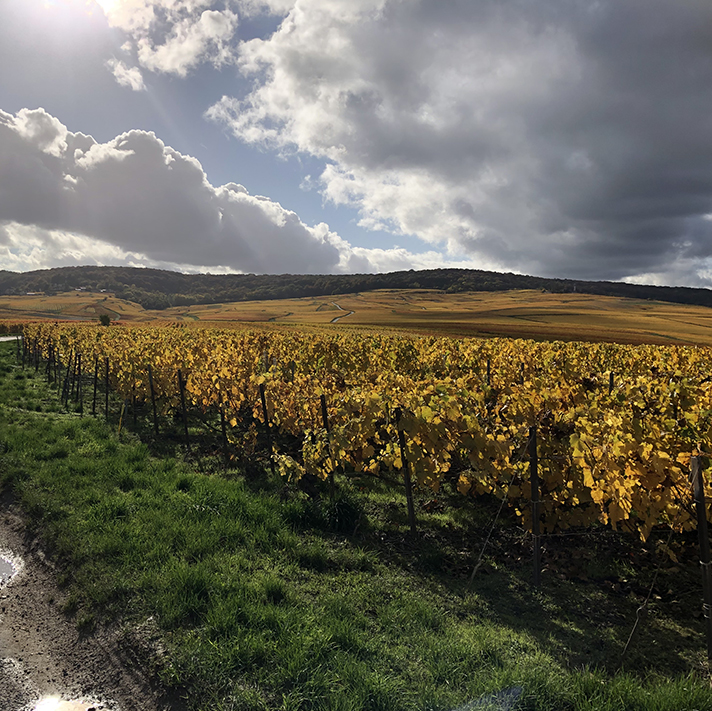 Champagne Alain Lallement